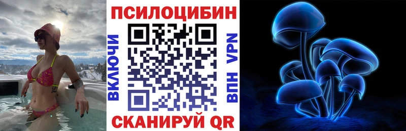 Псилоцибиновые грибы Psilocybine cubensis  Сретенск 